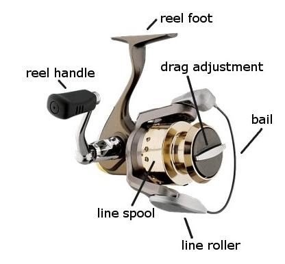 fishing reel
